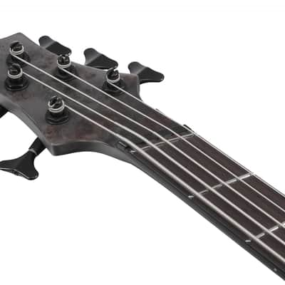 Ibanez BTB805MS-TGF Bass Workshop BTB Electric Bass 5-String Multi Scale - Transparent Gray Flat + Case image 6