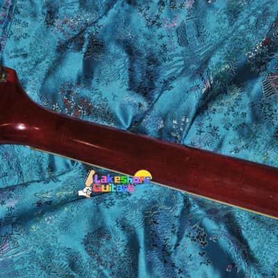 Epiphone Professional EA-7P Outfit 1963 image 6