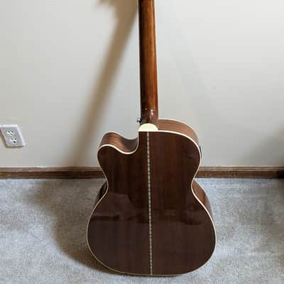 Zager EZ play acoustic guitar image 2