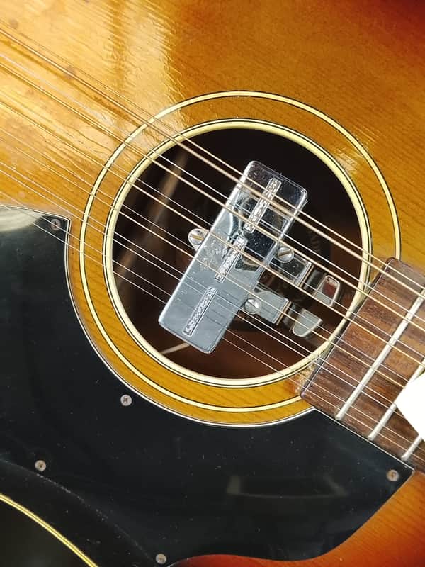 Hofner Pickup type 507 / Late 60 - Early 70 image 1