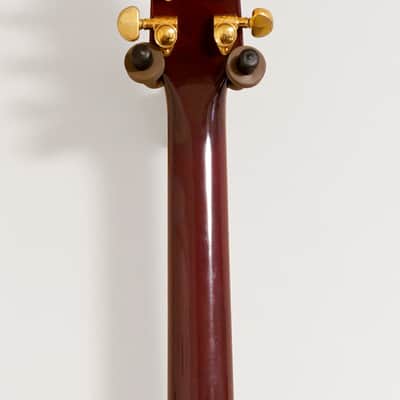 Heritage Millenium 2005 Chestnut Sunburst image 6