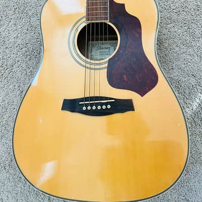 Ibanez SGT120 Sage Acoustic Guitar image 7