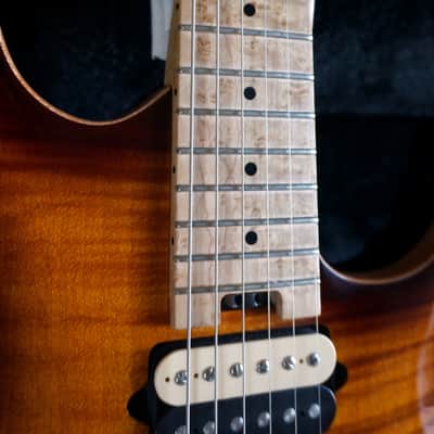 Peavey HP Special CT Tobacco Burst USA Electric Guitar With Case Carved Top Wolfgang EVH image 13