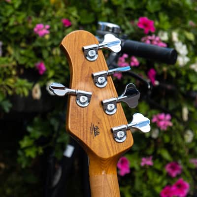 Ernie Ball Music Man Stingray Special 5-String Snowy Night image 6