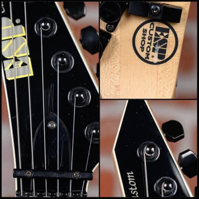 ESP Custom Shop Chris Degarmo Signature Warhol Graphic 2005 w/OHSC image 12