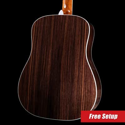 Taylor Legacy 810e Dreadnought Acoustic/Electric Guitar with Hardshell Case - Demo image 2