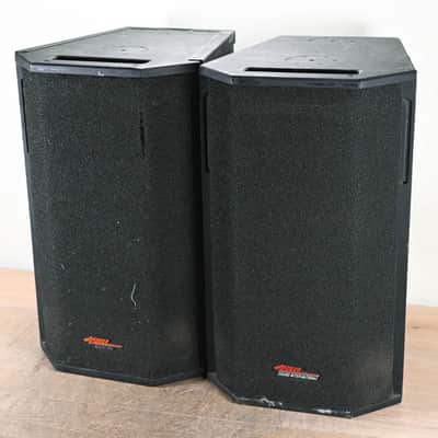 Apogee Sound AE-5 Arrayable Loudspeaker (PAIR) CG009G1 image 1