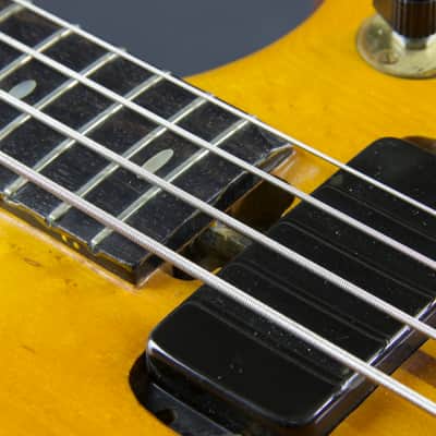 1975 Alembic Series 1 image 5