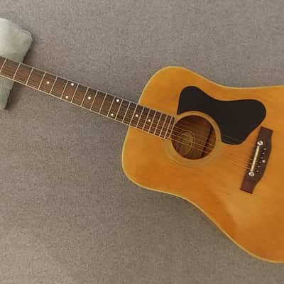 Rare 1974 Madeira by Guild A-30M Flame Maple Dreadnaught image 1