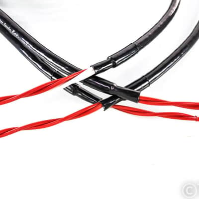 Discovery Signature Speaker Cables; 8ft Pair; Spades image 1