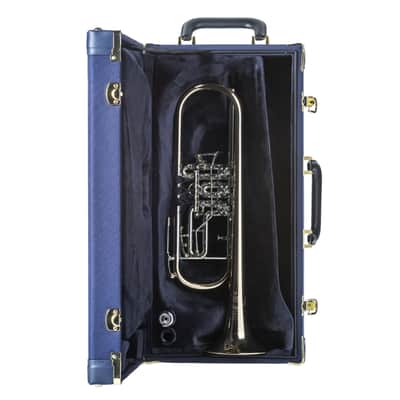 B&S 3006 AERA Bb-Trompete - Rotary Valves Bb Trumpet image 5