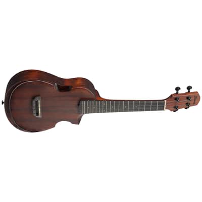 AUC14 OVL Ukulélé concert Open Pore Violin Sunburst + Housse Ibanez image 3