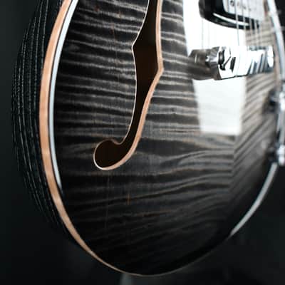 PRS Private Stock 30th Anniversary "Birds of a Feather" Hollowbody I #179 image 12