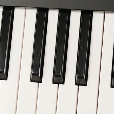Roland FANTOM-07 + Softcase image 22