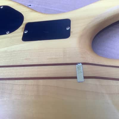 Samick Vintage 5 string bass 90’s / alembic construction style gorgeous wood image 12