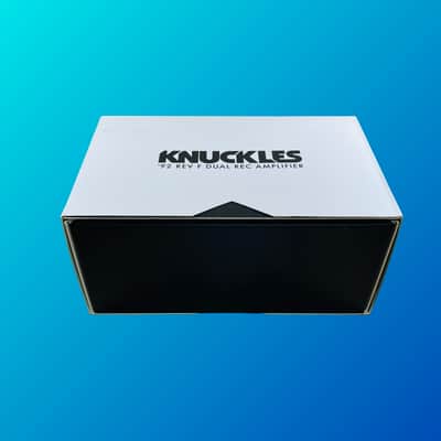 Universal Audio Knuckles '92 Rev F Dual Rec Amplifier image 4