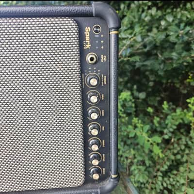 Positive Grid LIVE 150-watt 4-channel Combo Amp/Pa with Rechargable Battery image 2