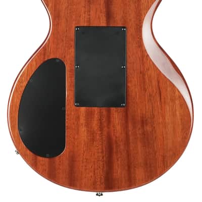 Carvin CS6 California Carve Top Tiger Eye Quilted image 5