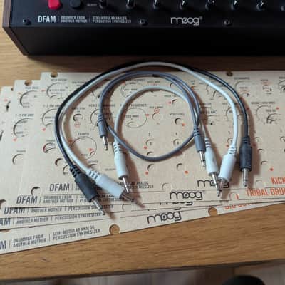 Moog DFAM image 4