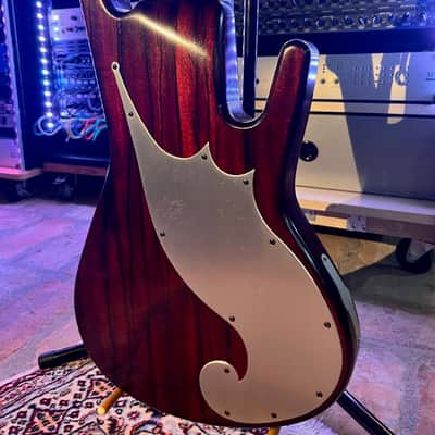 Teye gypsy bass 5 2020 - red image 2