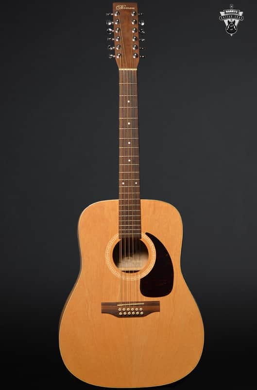 Norman B15-12 12-String 2002 Natural image 1