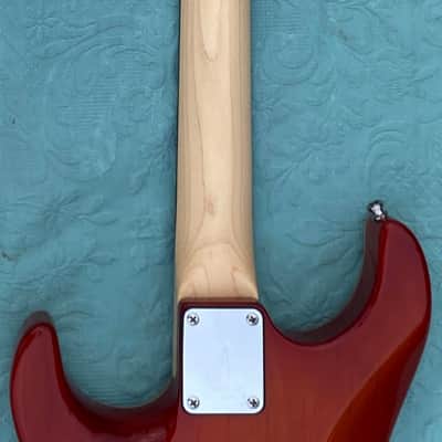Tom Anderson Hollow Drop Top 2004 - Fire Burst with Binding image 13