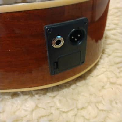 Epiphone 2018 PR150VSAE Tobacco Sunburst Acoustic Electric w/Padded Gig Bag image 15