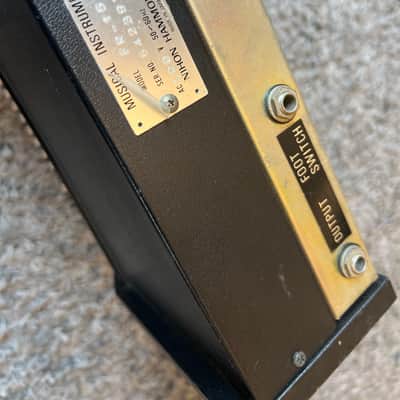 ACE Tone (Roland/Hammond) FR-15 1975 image 5
