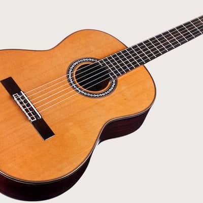 Cordoba C10 CD All Solid Wood Red Cedar Top Classical Nylon Guitar image 3