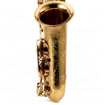 Eastman EAS850 'Rue Saint-Georges' Professional Alto Saxophone SN A2440262 image 8