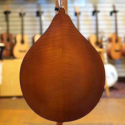 Northfield NFO-AT3 Wavelength Short-Scale Archtop Octave Mandolin Ox Amber w/Padded Gig Bag image 3