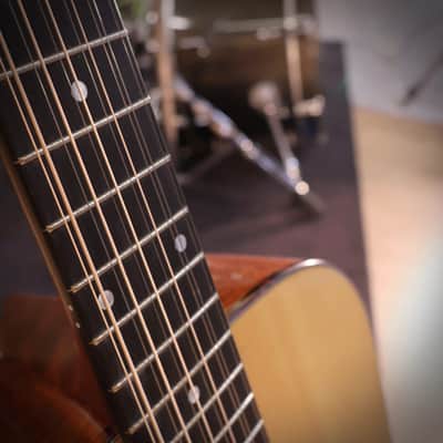Eastman E1D-12-DLX image 4