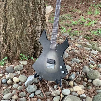 Custom R L James Guitar Custom Animal 2026 - Custom image 2