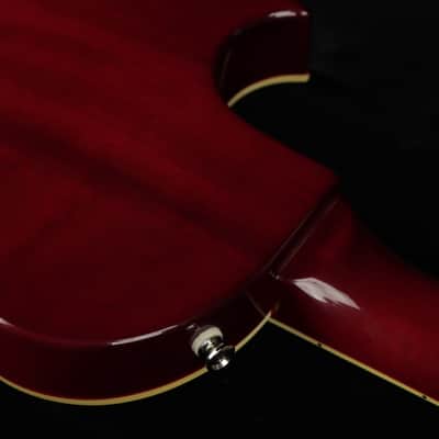 Epiphone Nancy Wilson Fanatic Outfit (#318) image 10