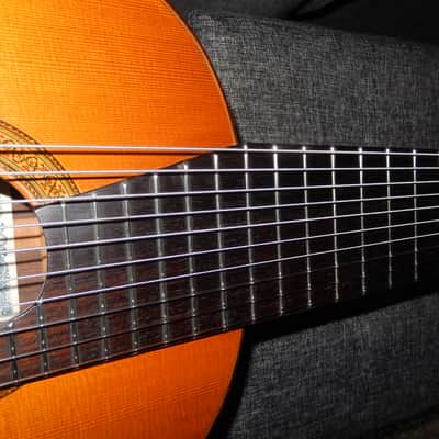 RARITY - RYOJI MATSUOKA M150-10 1985 - 10 STRING CLASSICAL CONCERT GUITAR image 16