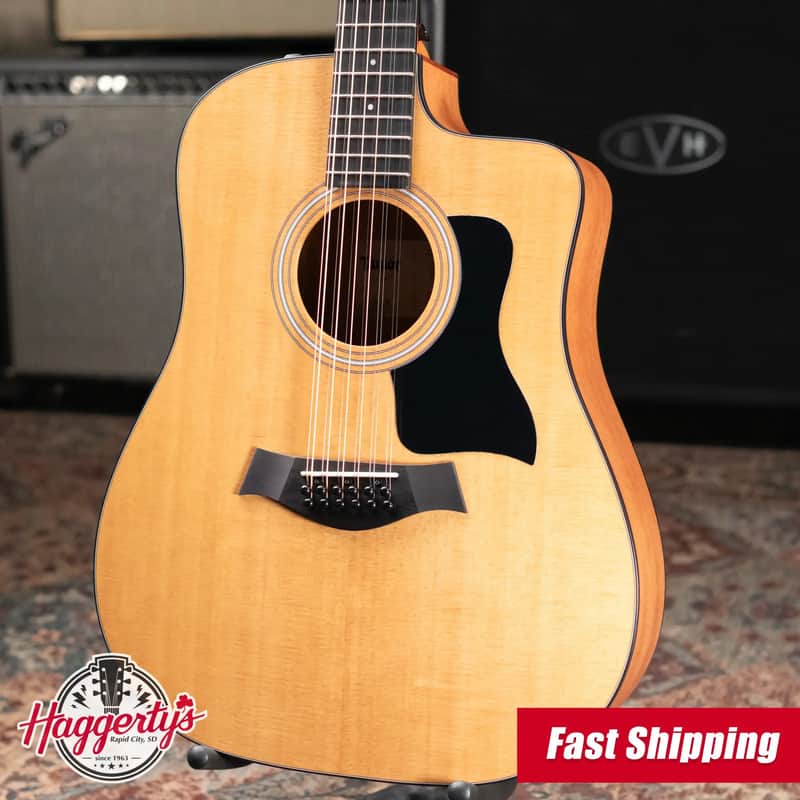 Taylor 150ce 12-String Dreadnought Acoustic/Electric Guitar with Gig Bag image 1