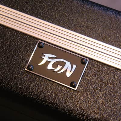 FGN "Expert Odissey Ripe Kaki Gradiation" HARDCASE, 3, 38 KG image 18