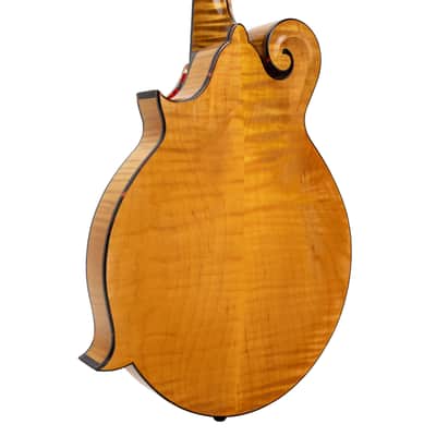 Gold Tone Grandmaster Elite Old Swiss/Italian Spruce Top 8-String Mandolin w/Hard Case image 4