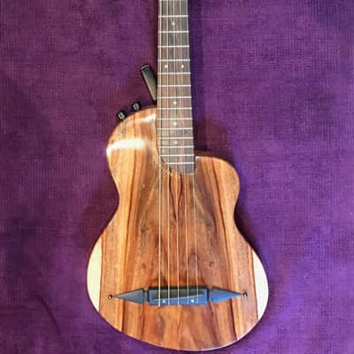Rick Turner RB5 Fretted 2015 Gloss Renaissance Bass image 1