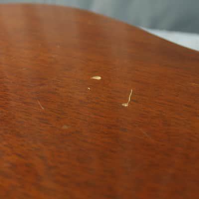 Suzuki F-100 Japan Acoustic Guitar image 20