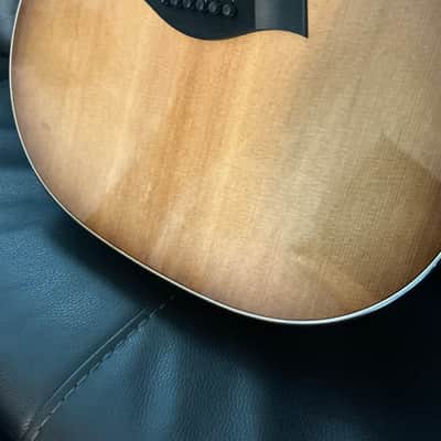 Taylor 517e Grand Pacific 2024 - Torrefied spruce top, Urban bark sides and back with shaded edge burst image 6