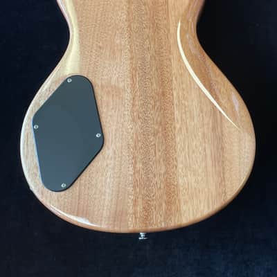 PRS SE Zach Myers W/Bag image 7