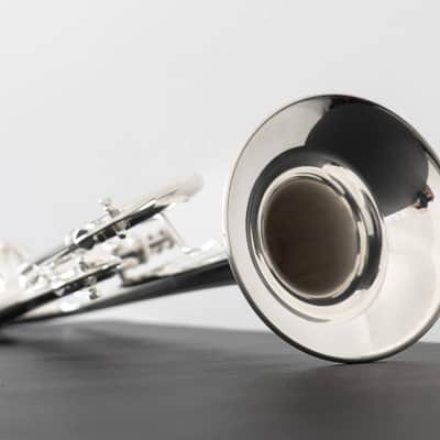 Bach VBS1S Bb Trumpet (SN 6959xx) image 13