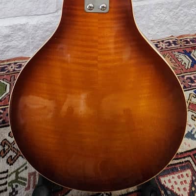 Framus Graziella B73 Teardrop/Archtop Mandolin 1970 Germany image 5
