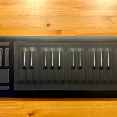 ROLI Seaboard RISE 25 | Reverb