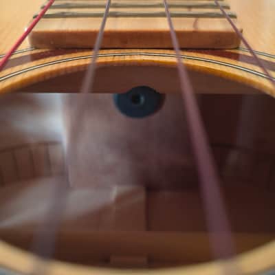 AMERICAN HAND MADE CUSTOM TENOR UKULELE 1 OF 1 image 12