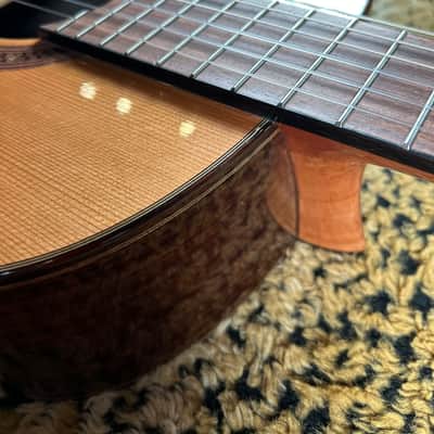 Cordoba C7 CD/IN Classical Guitar Natural 2025 image 11