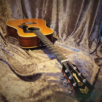 Guild D-50 Dreadnought Acoustic 1974 One Owner! Highly Figured Rosewood Back image 7