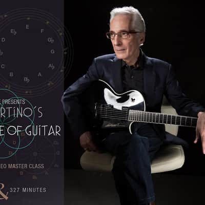 TrueFire Interactive Course: Pat Martino's The Nature of Guitar image 1