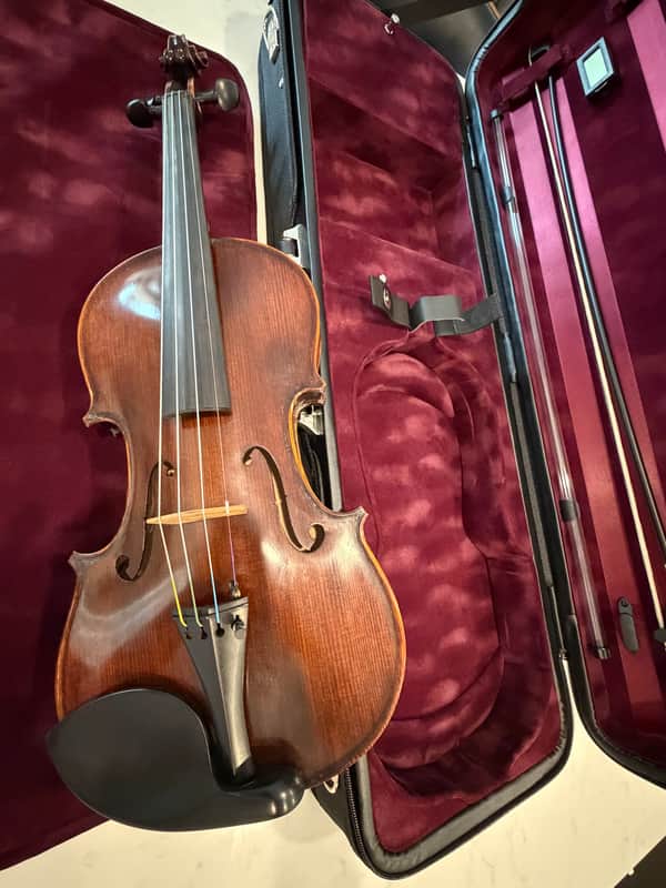 VL305 Andreas Eastman violin  4/4 image 1